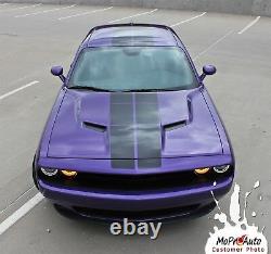 PULSE RALLY 2015-2020 for Dodge Challenger Decal Graphic Blacktop Style 3M