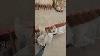 Step One Select The Polish Military Kbk Ak47 Parts Kit You Want Aoa To Build